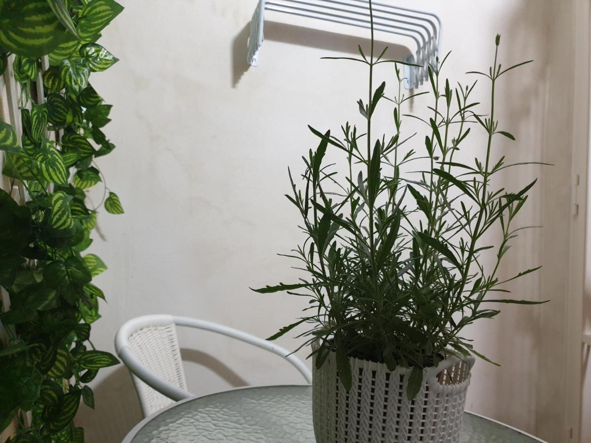 La Petite Maison Lägenhet Syrakusa Exteriör bild